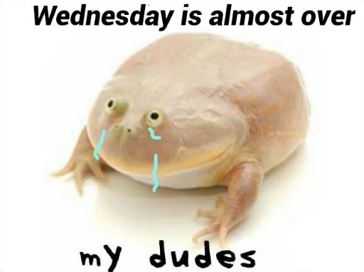 🕙 Стикер «Wednesday My Dudes» для Telegram