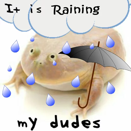 🌧 Стикер «Wednesday My Dudes» для Telegram