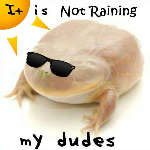 ☀ Стикер «Wednesday My Dudes» для Telegram