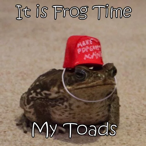 🇸🇪 Стикер «Wednesday My Dudes» для Telegram
