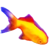 🐟 Эмодзи «wet floor» для Telegram