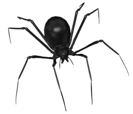 🕷 Стикер «dark gothic / готика» для Telegram