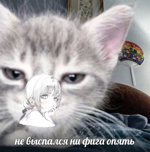 😶 Стикер «&; мяу . . ↬ >> ??» для Telegram