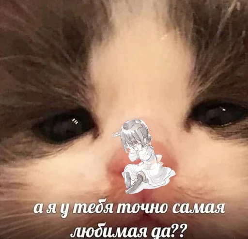 🥺 Стикер «&; мяу . . ↬ >> ??» для Telegram