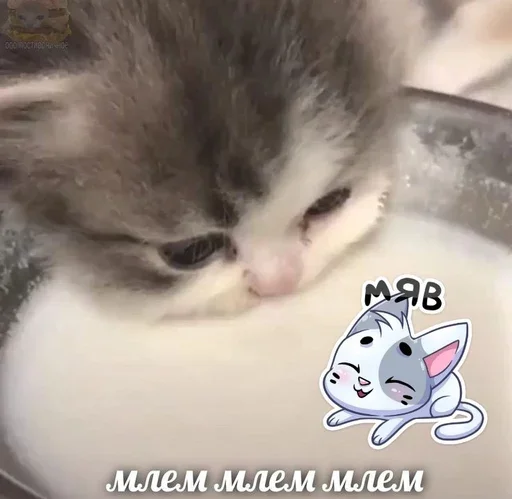 🥛 Стикер «&; мяу . . ↬ >> ??» для Telegram