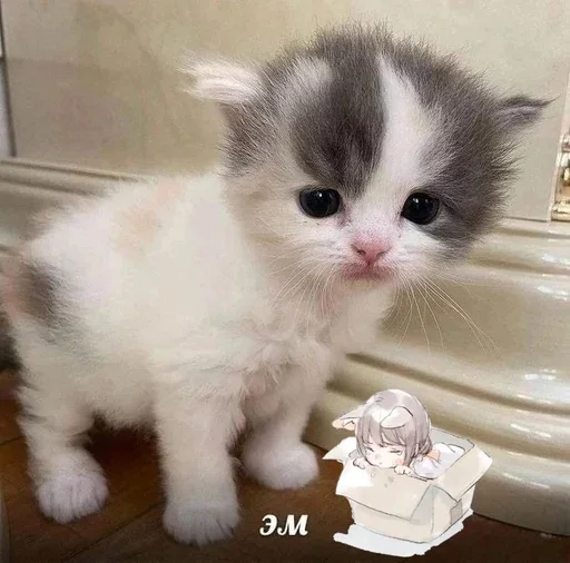 😐 Стикер «&; мяу . . ↬ >> ??» для Telegram