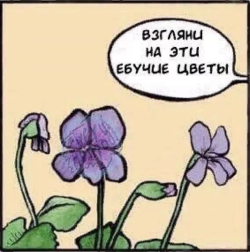 🌸 Стикер «what_a_beautiful_day» для Telegram