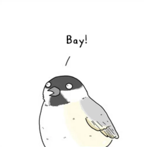 🐦 Стикер «what_a_beautiful_day» для Telegram