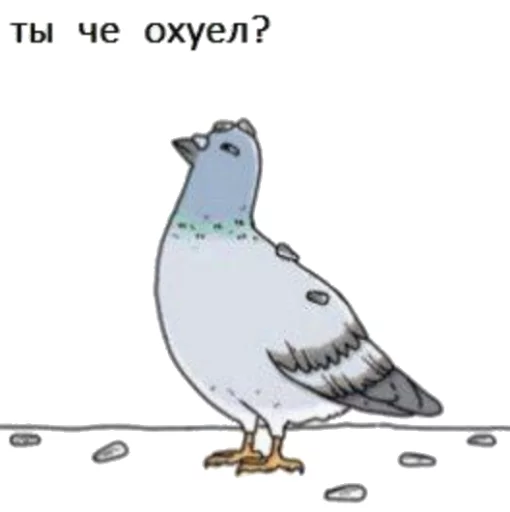 🕊️ Стикер «what_a_beautiful_day» для Telegram
