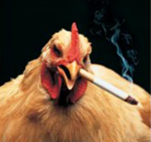 🚬 Стикер «what_a_beautiful_day» для Telegram