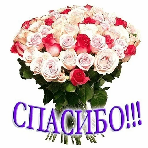 🙏 Стикер «WhatsApp JPG» для Telegram