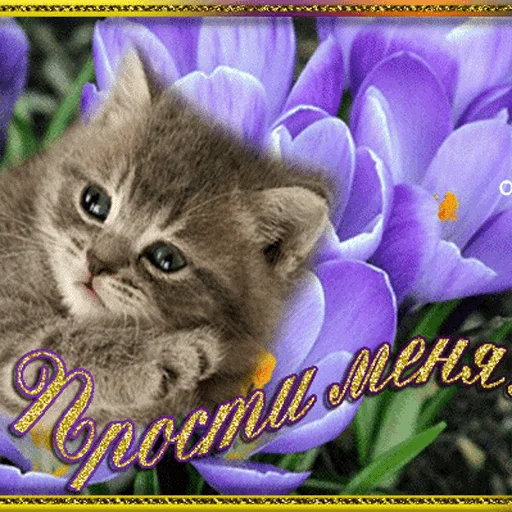 😔 Стикер «WhatsApp JPG» для Telegram