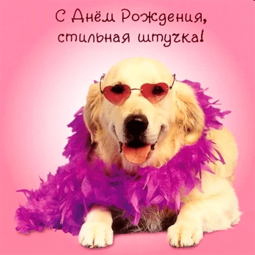 🤩 Стикер «WhatsApp JPG» для Telegram