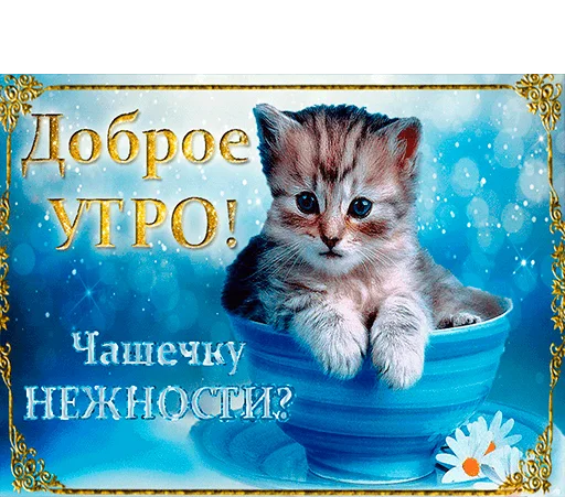 ☺️ Стикер «WhatsApp JPG» для Telegram