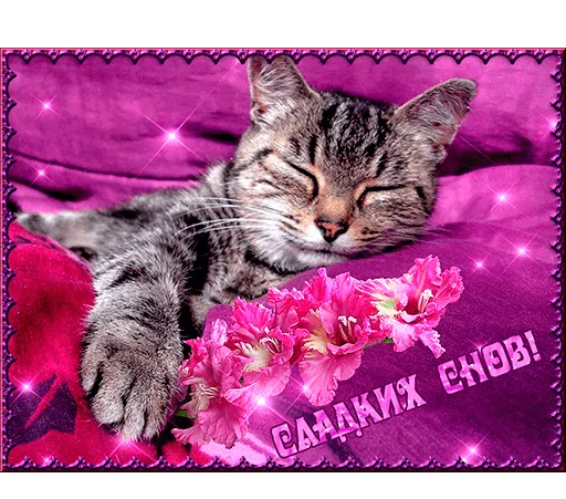 😴 Стикер «WhatsApp JPG» для Telegram