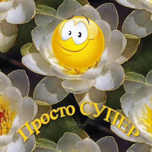 👍 Стикер «Открытки))*» для Telegram
