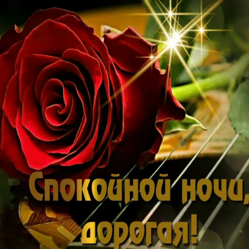 😴 Стикер «Открытки))*» для Telegram