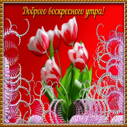 7️⃣ Стикер «Открытки))*» для Telegram