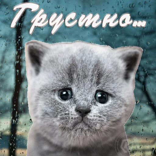 😢 Стикер «Открытки))*» для Telegram