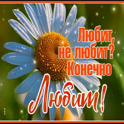 🌼 Стикер «Открытки))*» для Telegram