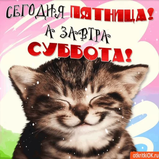 5️⃣ Стикер «Открытки))*» для Telegram