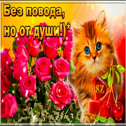 😸 Стикер «Открытки))*» для Telegram