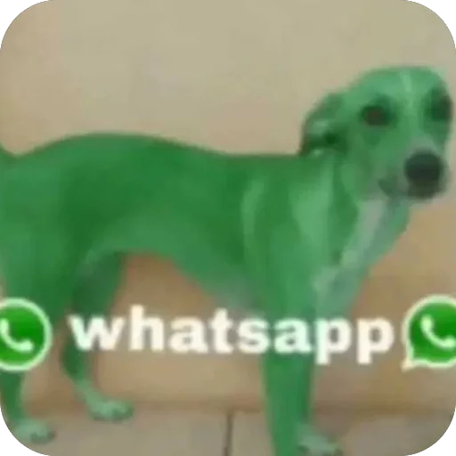 🫥 Стикер «WhatsApp» для Telegram