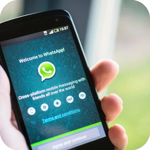 🫥 Стикер «WhatsApp» для Telegram