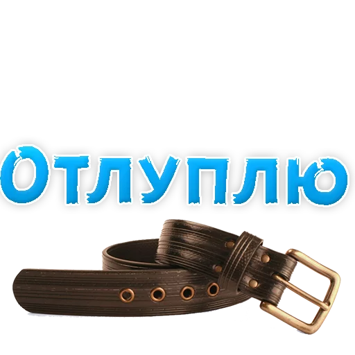 🐷 Стикер «WhereToCum2» для Telegram