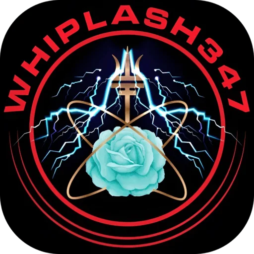 🚀 Стикер «Whip SpaceX» для Telegram