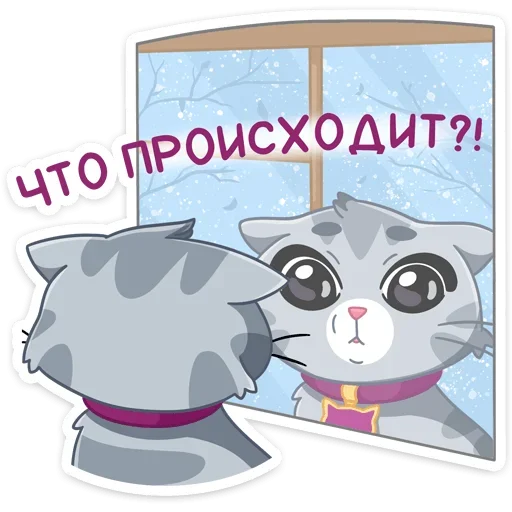 😳 Стикер «Табби - Whiskas®» для Telegram