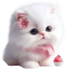 🍧 Эмодзи «Сладкая киса» для Telegram
