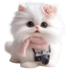📷 Эмодзи «Сладкая киса» для Telegram
