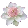 Стикер 5 White