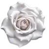 Стикер 9 White
