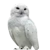 Стикер 18 White