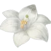 Стикер 35 white