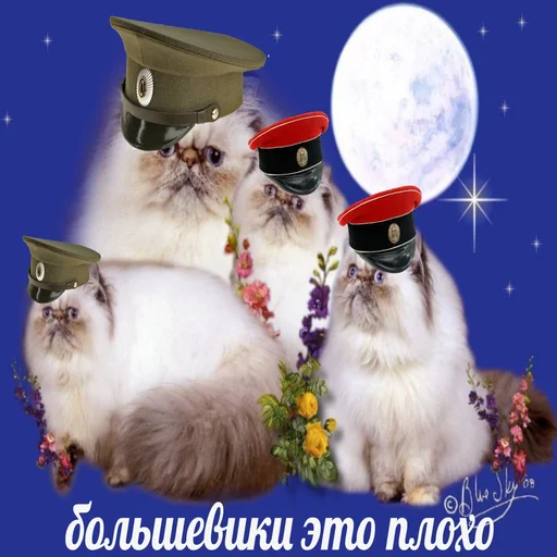 😼 Стикер «Белый пак» для Telegram