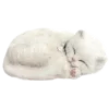 🐱 Эмодзи «» для Telegram
