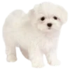 🐶 Эмодзи «» для Telegram