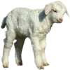 🐑 Эмодзи «» для Telegram