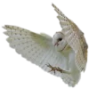 🦉 Эмодзи «» для Telegram