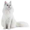 🐱 Эмодзи «» для Telegram