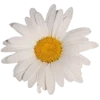 🌼 Эмодзи «» для Telegram