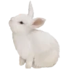🐇 Эмодзи «» для Telegram