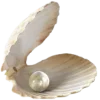 🐚 Эмодзи «» для Telegram