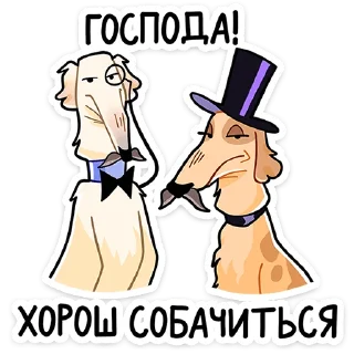 Стикер 23 Белый