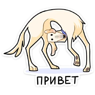 Обложка набора Белый