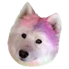 🐶 Эмодзи «White Dog Emoji» для Telegram