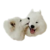 👩‍❤️‍👨 Эмодзи «White Dog Emoji» для Telegram